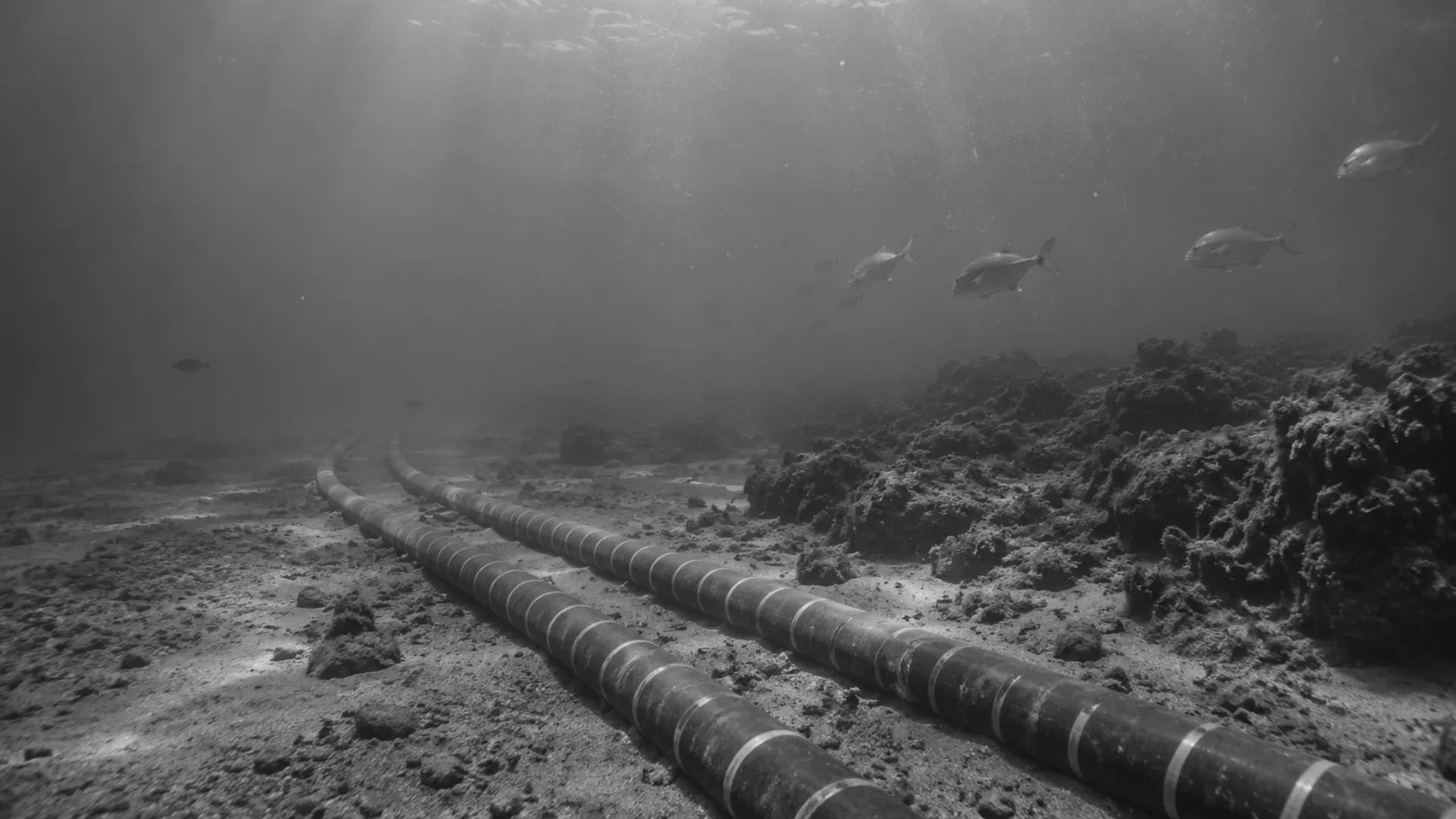 Undersea Cable Warfare: How Submarine Internet Cables Are Being Weaponized in the Grey Zone